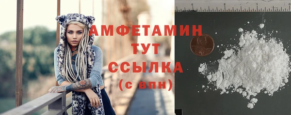 мдпв Краснослободск