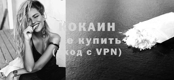 сатива Кодинск