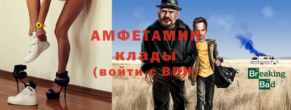 амф Козловка