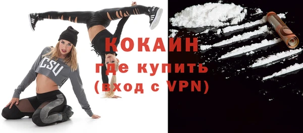 мдпв Краснослободск