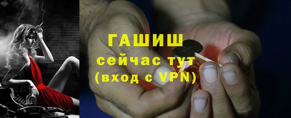 сатива Кодинск
