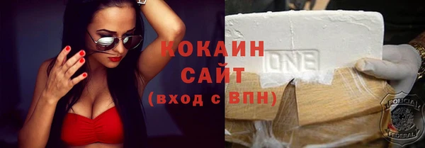 сатива Козельск