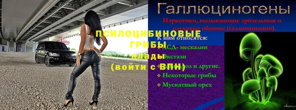 сатива Козельск