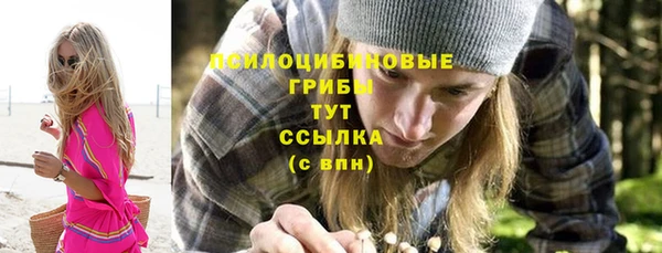 амф Козловка