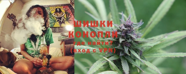 сатива Козельск