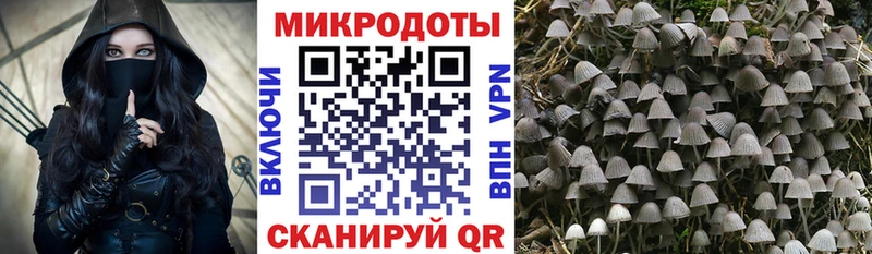 KRAKEN маркетплейс  цены   Кировград  Галлюциногенные грибы Psilocybe 